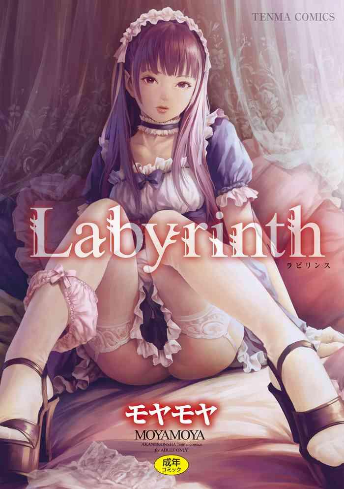 labyrinth cover