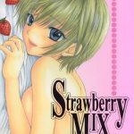 strawberry mix cover