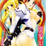 nanoha no zettai zetsumei s special cover