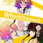 which dreamed it cover