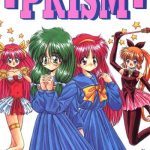 prism cover