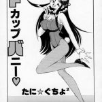 d cup angel cover