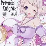 private knights vol 5 cover