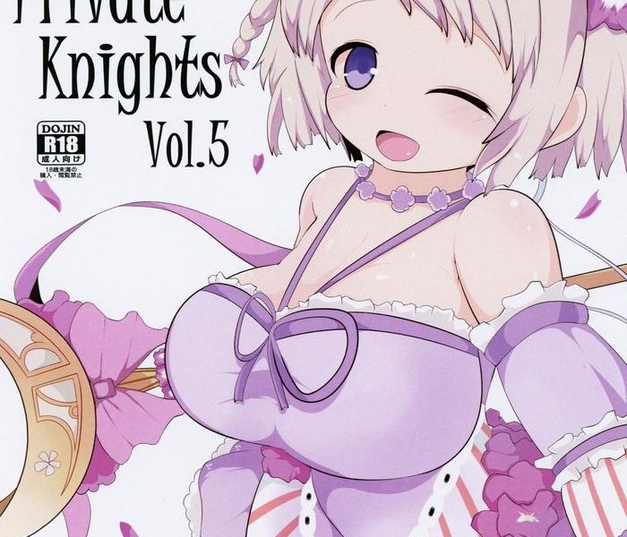 private knights vol 5 cover