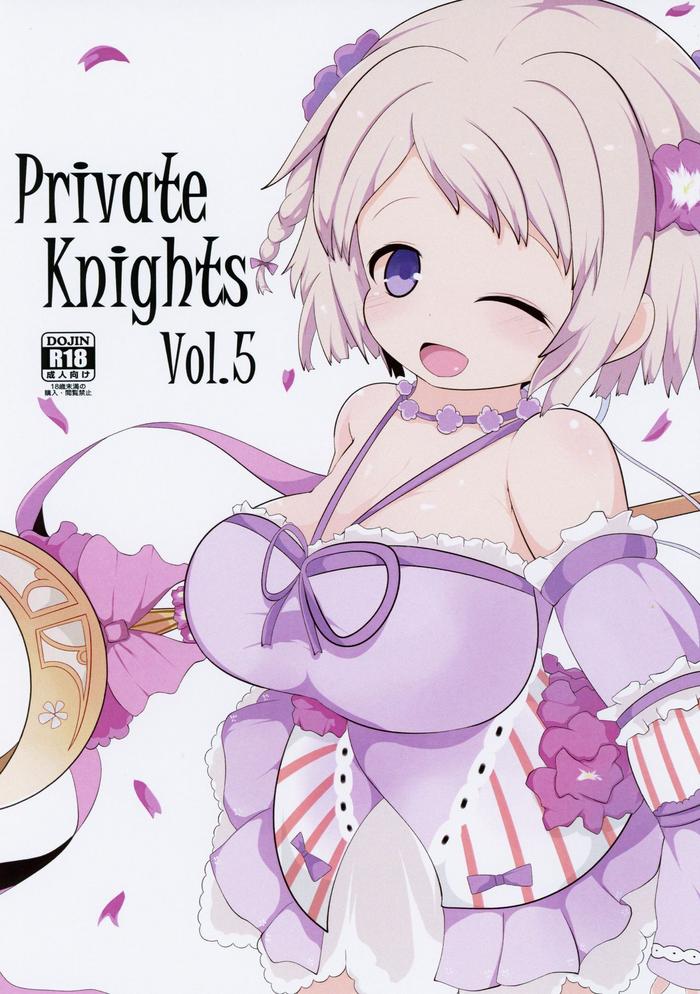 private knights vol 5 cover